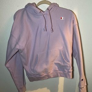 Champion Hoodie Brand New - image 1